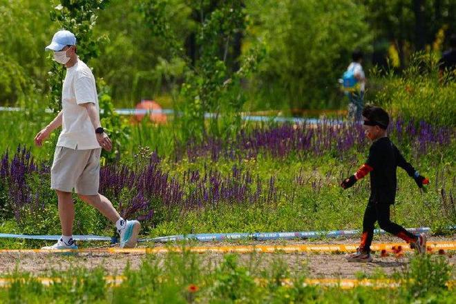 可爱!马龙：我不太辅导两个孩子写作业我光负责小孩体育方面的事(图4)